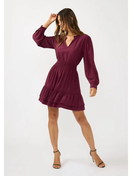 Sable Mini Dress